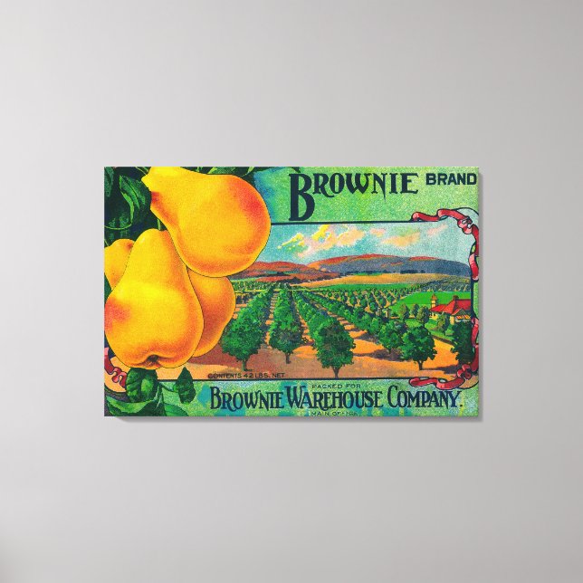 Brownie Pear Crate LabelCashmere, WA Canvas Print (Front)