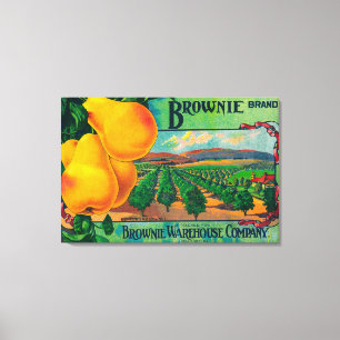 Brownie Pear Crate LabelCashmere, WA Canvas Print