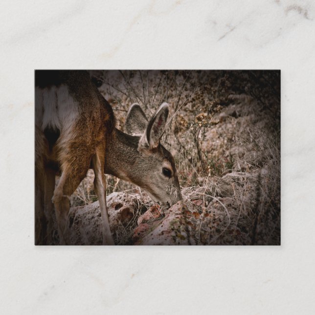Browsing Deer Wildlife Business Card (Front)