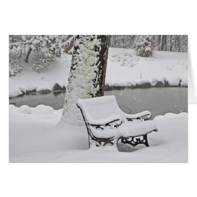 Brrrrr! (Front Horizontal)