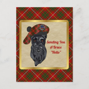 Bruce Clan Badge & Tartan Postcard