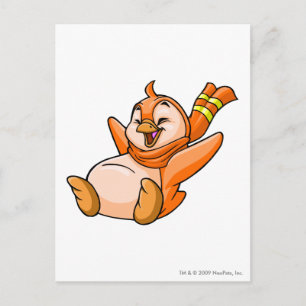 Bruce Orange Postcard