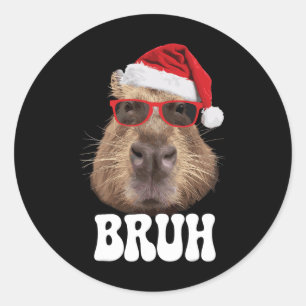 Bruh Capybyra Funny Santa Hat Christmas Season Cap Classic Round Sticker