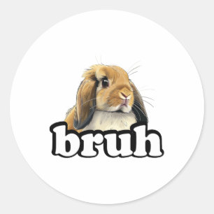 Bruh Mini Holland Lop Bunny Rabbit Lover Classic Round Sticker