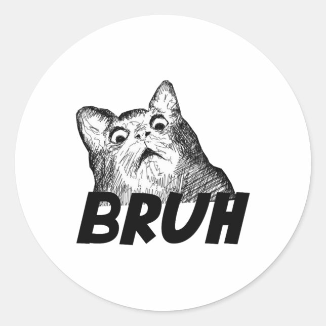 Bruh Shocked Gasp Cat Funny  Classic Round Sticker (Front)