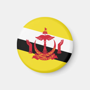 Brunei flag magnet