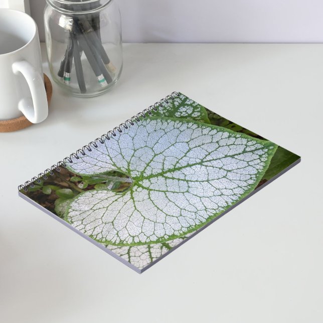Brunnera Macrophylla Plant Leaf Floral Notebook (In Situ)