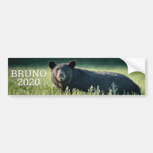 Bruno 2020 Bumper Sticker