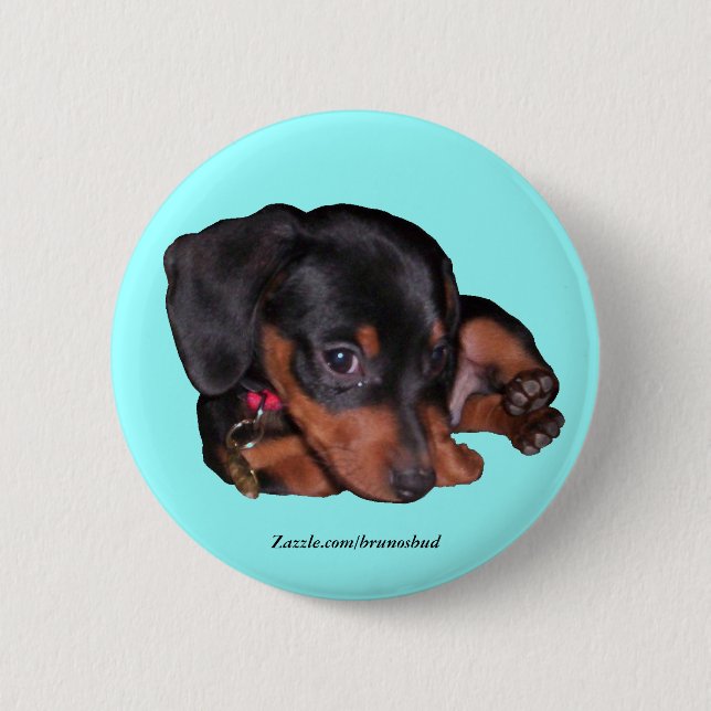 Bruno Button (Front)