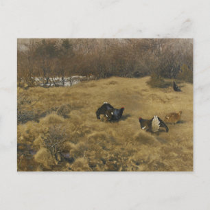 Bruno Liljefors - Black Grouse Displaying Postcard