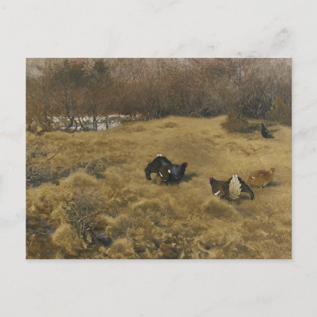 Bruno Liljefors - Black Grouse Displaying Postcard (Front)