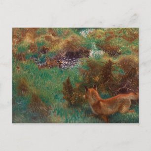 Bruno Liljefors - Fox Stalking Wild Ducks Postcard