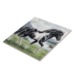 Brunskjottur Black pinto Icelandic Tile