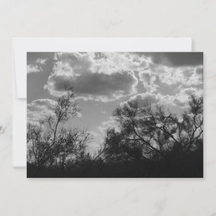 Brush Backlight (AZ Sonoran Desert) Invite