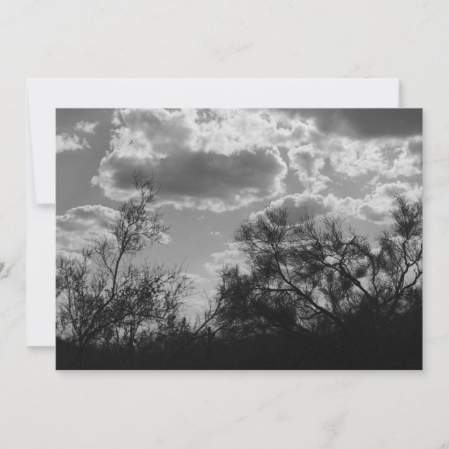 Brush Backlight (AZ Sonoran Desert) Invite (Front)