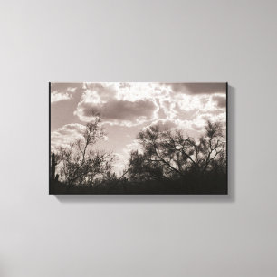Brush Backlight Canvas (AZ Sonoran Desert) Print