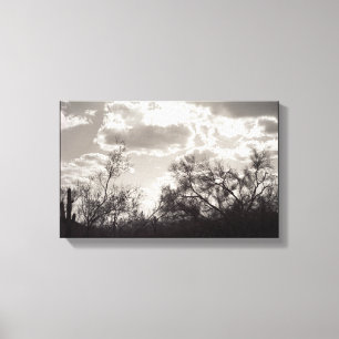 Brush Backlight Sonoran Desert B&W Photo Art Print