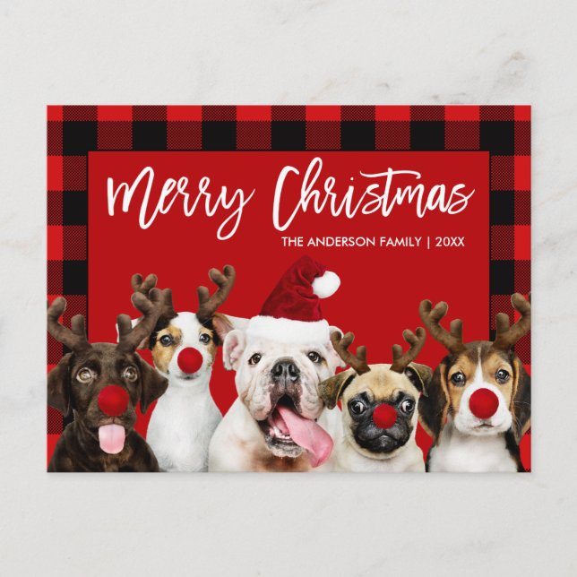 Brush Script Merry Christmas Dogs Red Plaid Postcard (Front)