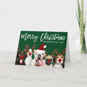 Brush Script Star Christmas Dogs Green Folded Holiday Card
