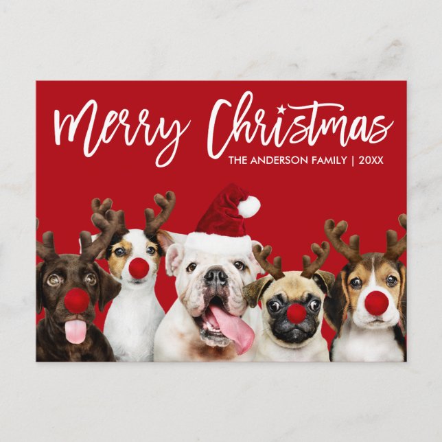 Brush Script Star Merry Christmas Dogs Red Postcard (Front)