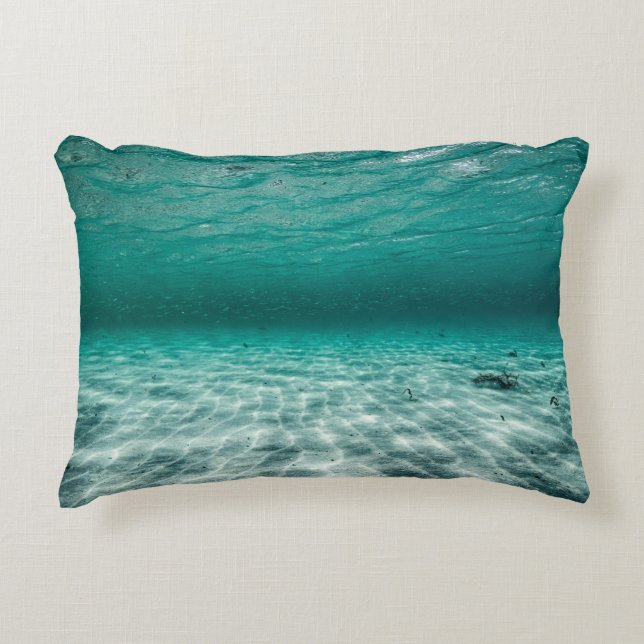 Brushed Polyester Decorative Cushion (Front)