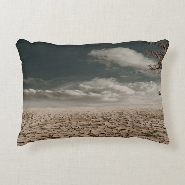 Brushed Polyester Decorative Cushion (Front)