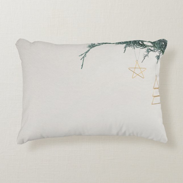 Brushed Polyester Decorative Cushion (Front)