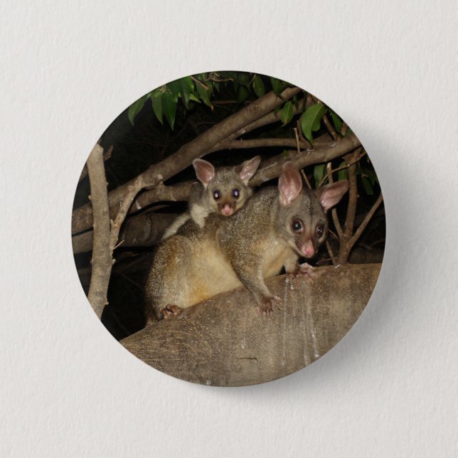 Brushtail Possums 6 Cm Round Badge (Front)