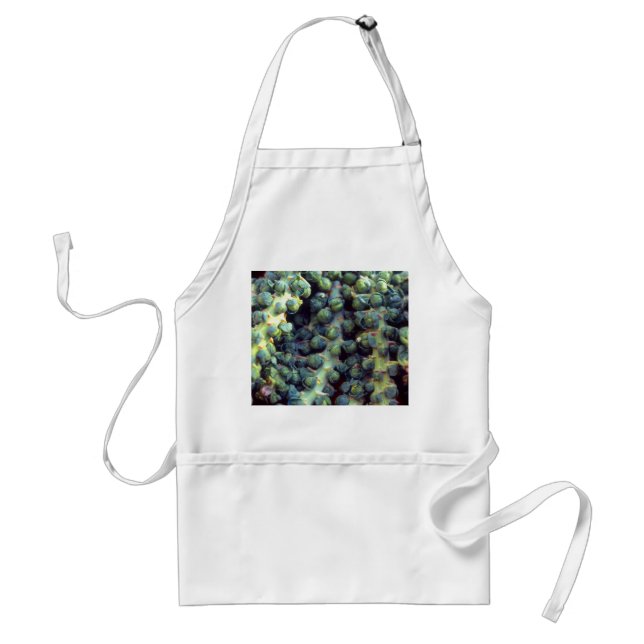 Brussel Sprouts Standard Apron (Front)