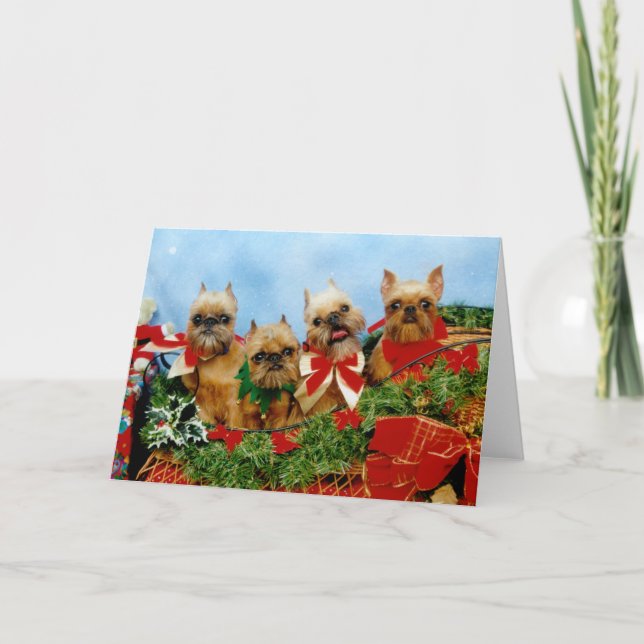 Brussells Griffon Dog Christmas Card (Front)