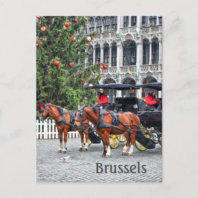 Brussels Belgium Christmas photo  Postcard (Front)