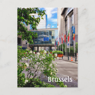Brussels Belgium photo Postcard