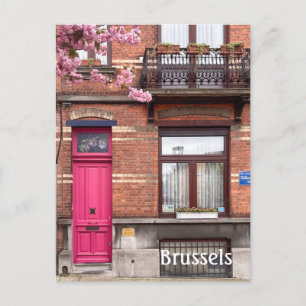Brussels Belgium pink doors Postcard