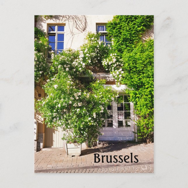 Brussels Belgium street photo Postcard (Front)