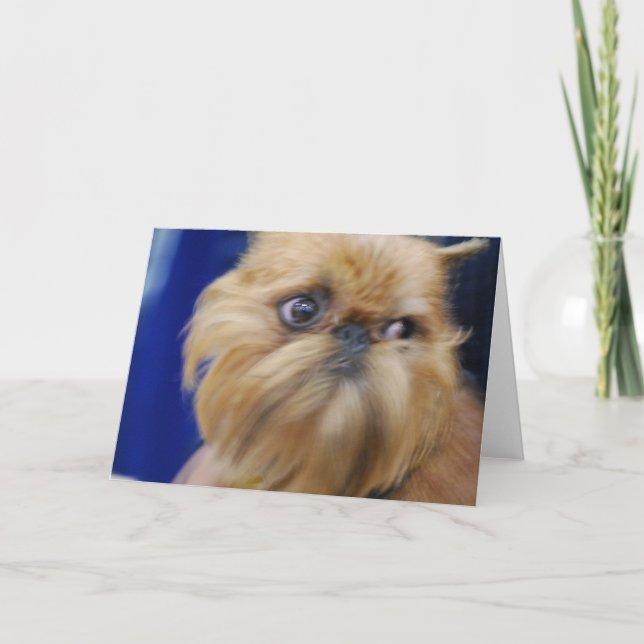 Brussels Griffon Dog Greeting Card (Front)