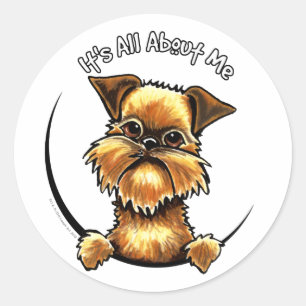 Brussels Griffon Its All About Me Classic Round Sticker