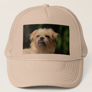 brussels-griffon.png trucker hat
