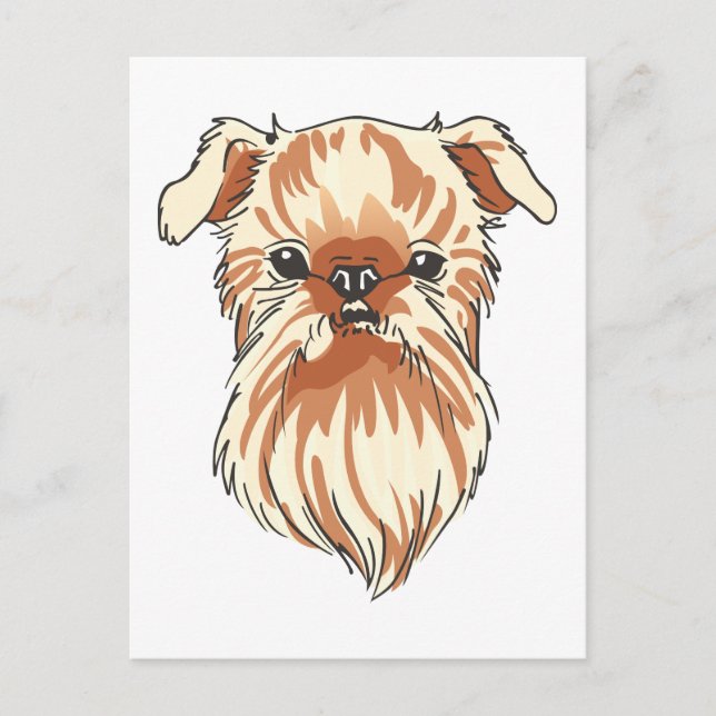 Brussels Griffon Postcard (Front)