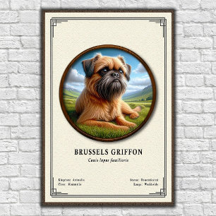 Brussels Griffon Zoology Series Poster