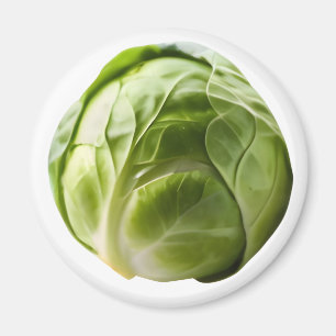 Brussels Sprout Funny Novelty Humour Christmas Magnet