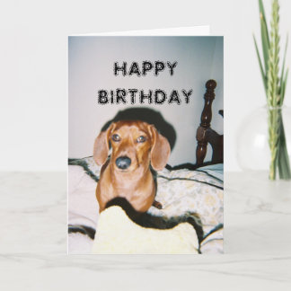 Brutus 3, HAPPY BIRTHDAY Card