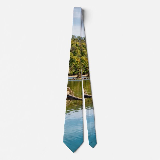 Bryant Creek Autumn Neck Tie (Front)