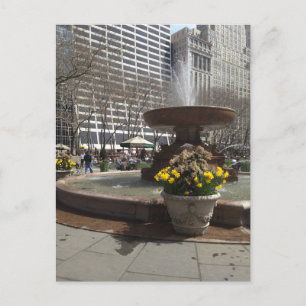 Bryant Park Fountain New York City Springtime NYC Postcard
