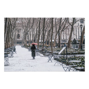 Bryant Park Snow Poster