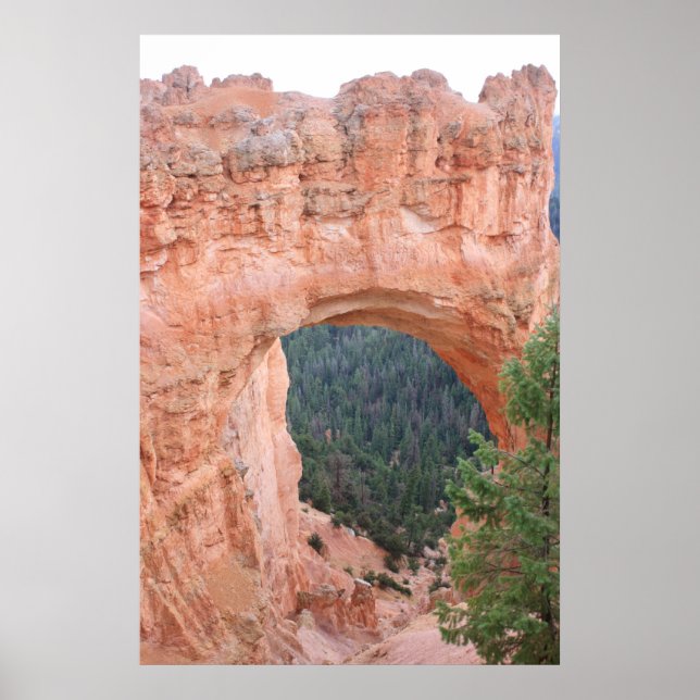 Bryce Canyon, Arch Poster (Front)