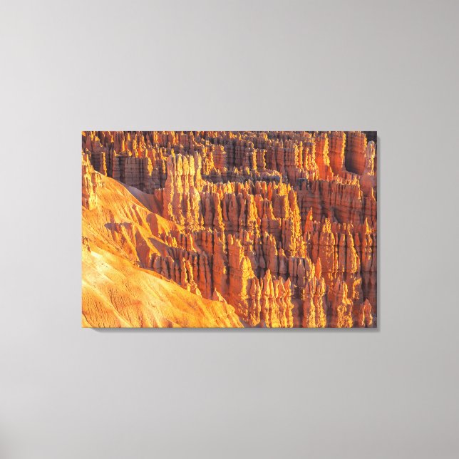 Bryce Canyon Hoodoos Canvas Print (Front)