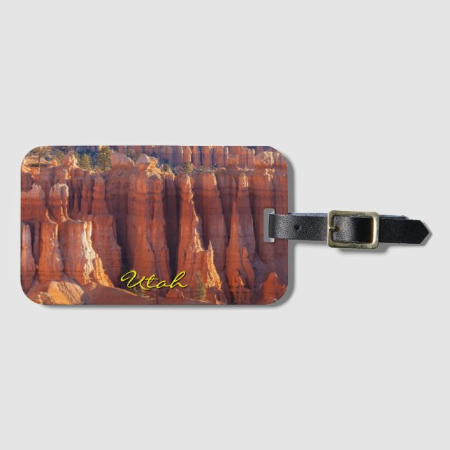 Bryce Canyon Hoodoos View Luggage Tag (Front Horizontal)