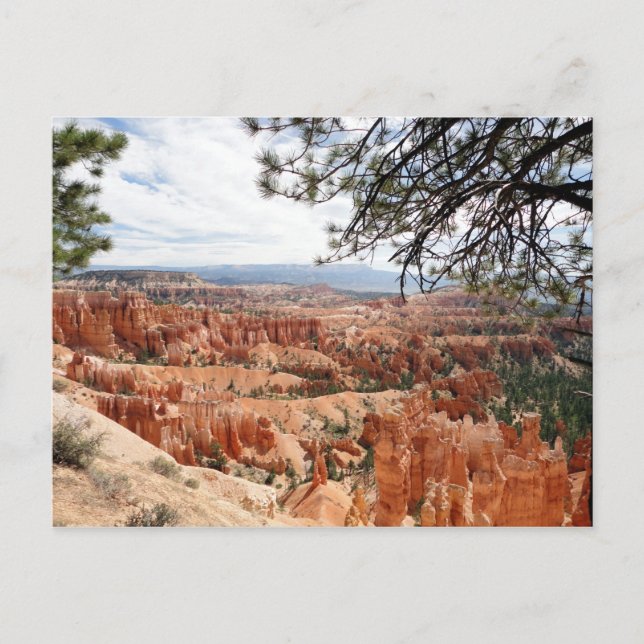 Bryce Canyon National Park Hoodoos Postcard (Front)