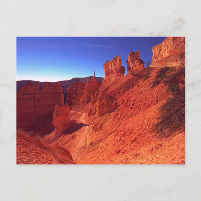 Bryce Canyon National Park Postcard (Front)