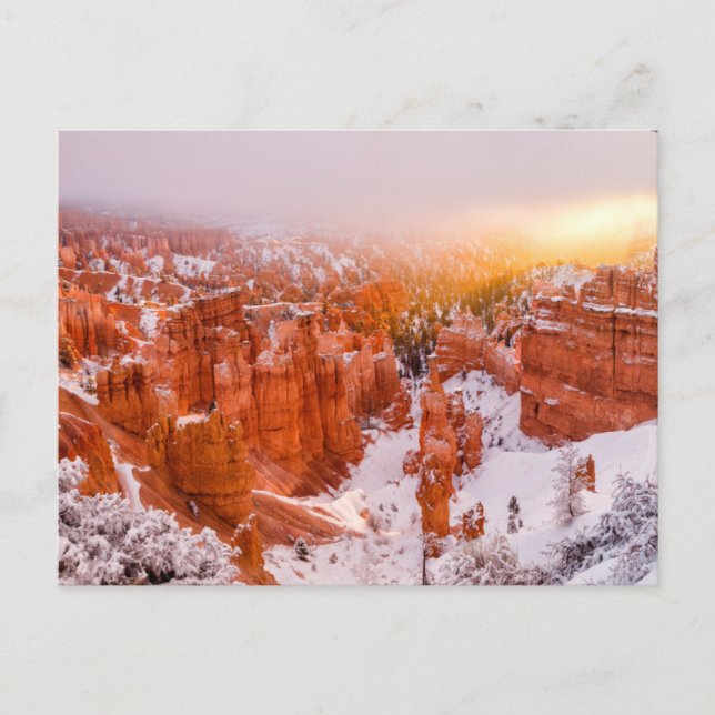 Bryce Canyon National Park Postcard (Front)